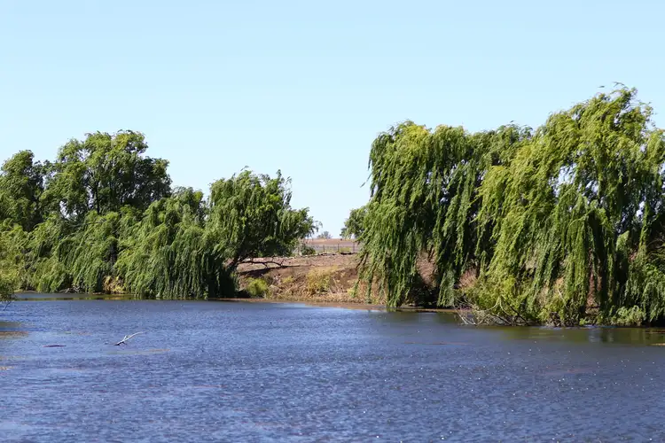 Fifth view of Homely rural property listing, 99 Moseley Dene Road, Inverell NSW 2360