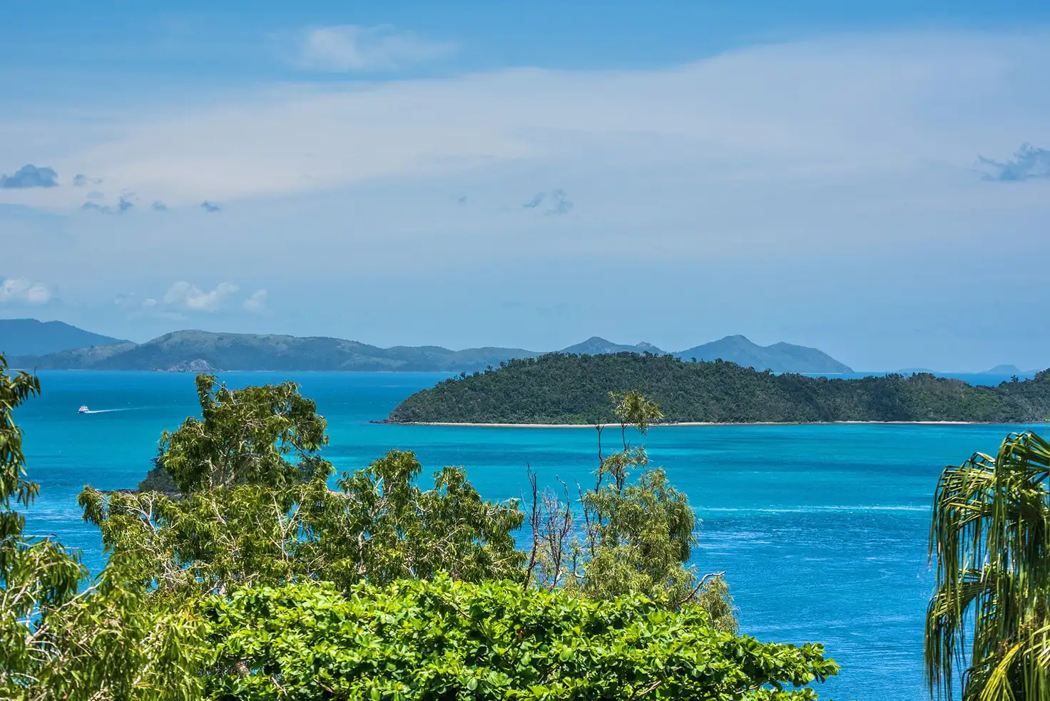 Main view of Homely unit listing, 19/3 Banksia Court Sunset Waters, Hamilton Island QLD 4803