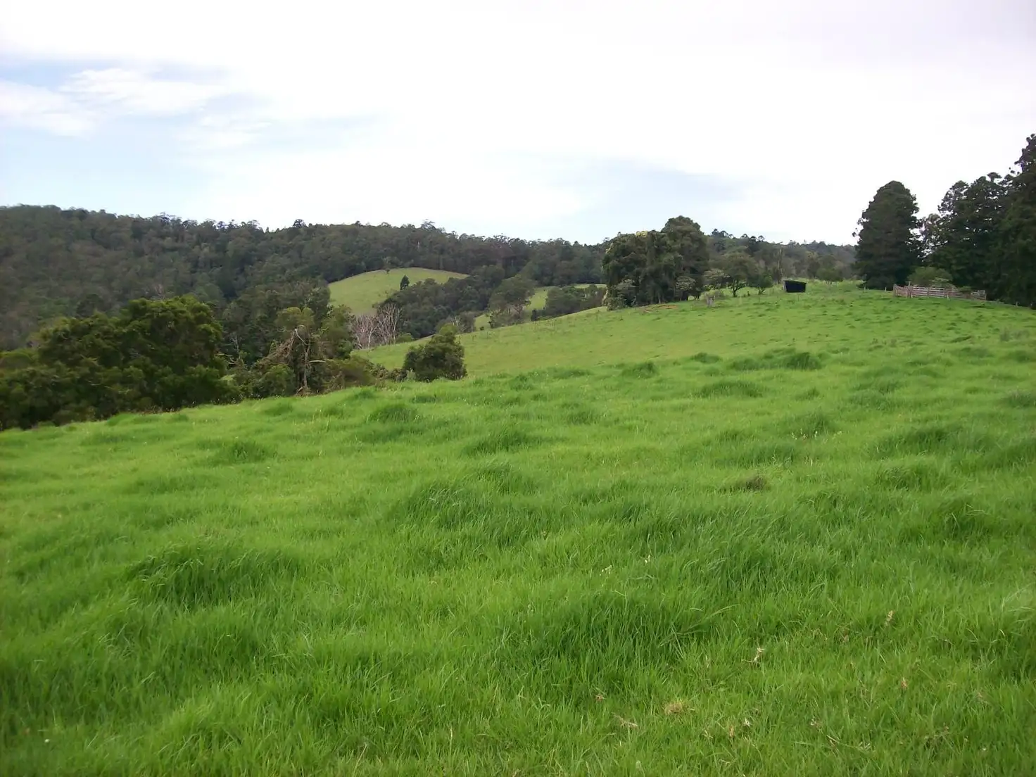 Main view of Homely rural property listing, 230 Beverleys Road Megan, Dorrigo NSW 2453