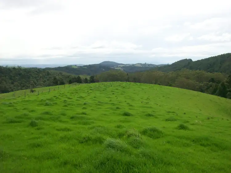Second view of Homely rural property listing, 230 Beverleys Road Megan, Dorrigo NSW 2453