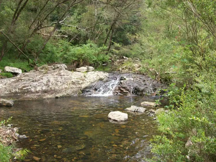 Third view of Homely rural property listing, 230 Beverleys Road Megan, Dorrigo NSW 2453