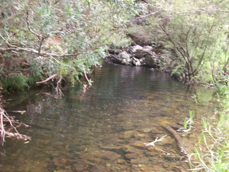 Fourth view of Homely rural property listing, 230 Beverleys Road Megan, Dorrigo NSW 2453