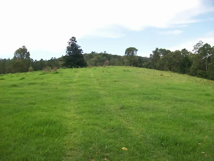 Fifth view of Homely rural property listing, 230 Beverleys Road Megan, Dorrigo NSW 2453