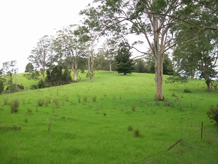 Sixth view of Homely rural property listing, 230 Beverleys Road Megan, Dorrigo NSW 2453