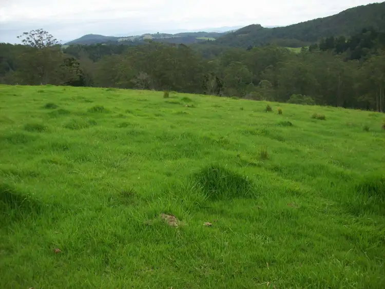 Seventh view of Homely rural property listing, 230 Beverleys Road Megan, Dorrigo NSW 2453