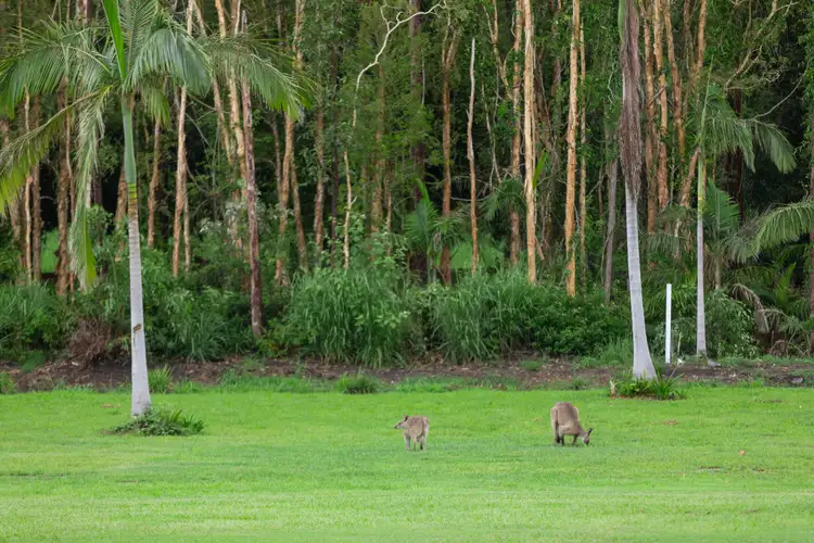 Fifth view of Homely house listing, 23 Cook Road, Glass House Mountains QLD 4518