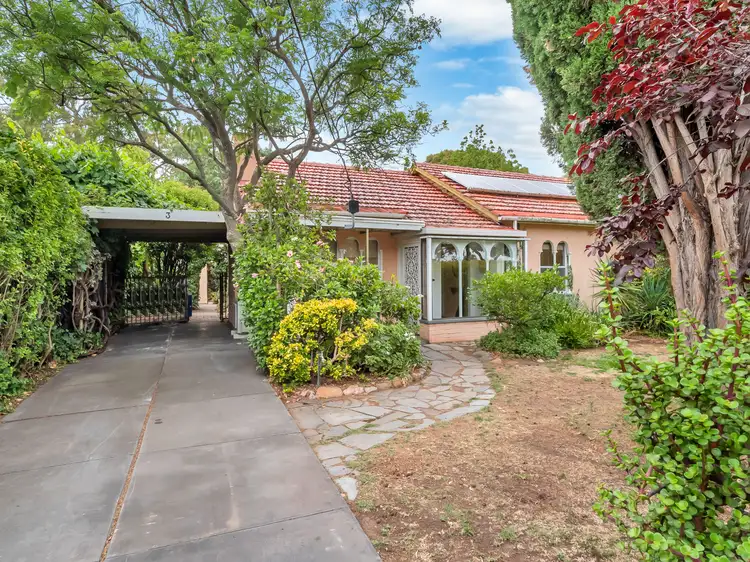 3 Bassi Street, Marion SA 5043