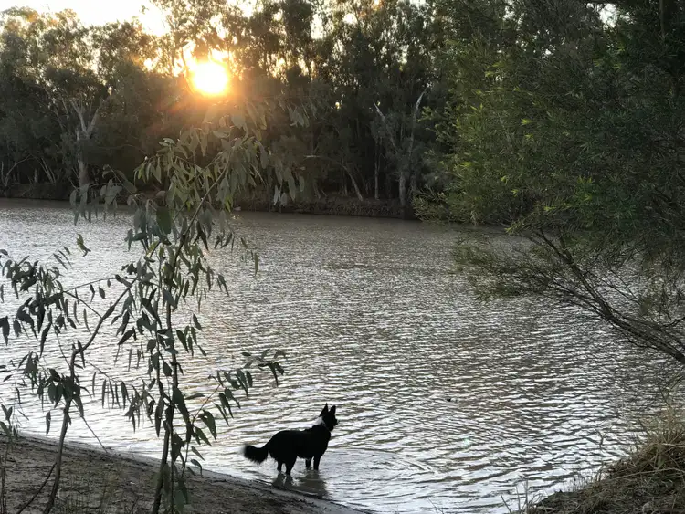 Third view of Homely house listing, 12585 CARNARVON Highway, St George QLD 4487
