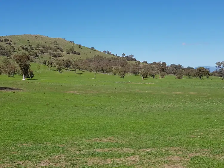 Sixth view of Homely land listing, 418 Nanima Road, Springrange NSW 2618