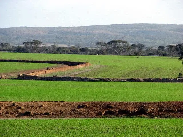 Main view of Homely rural property listing, Nyonger 541 Cashmore Road, Hyden WA 6359