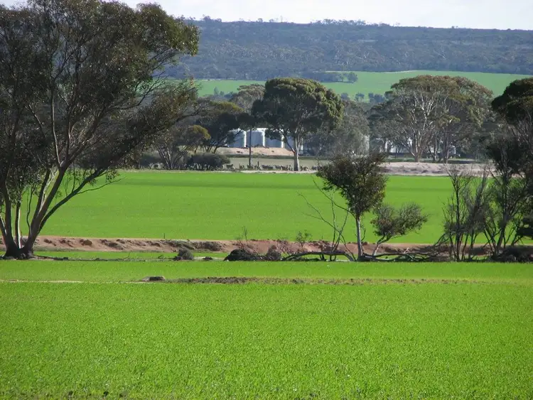 Third view of Homely rural property listing, Nyonger 541 Cashmore Road, Hyden WA 6359