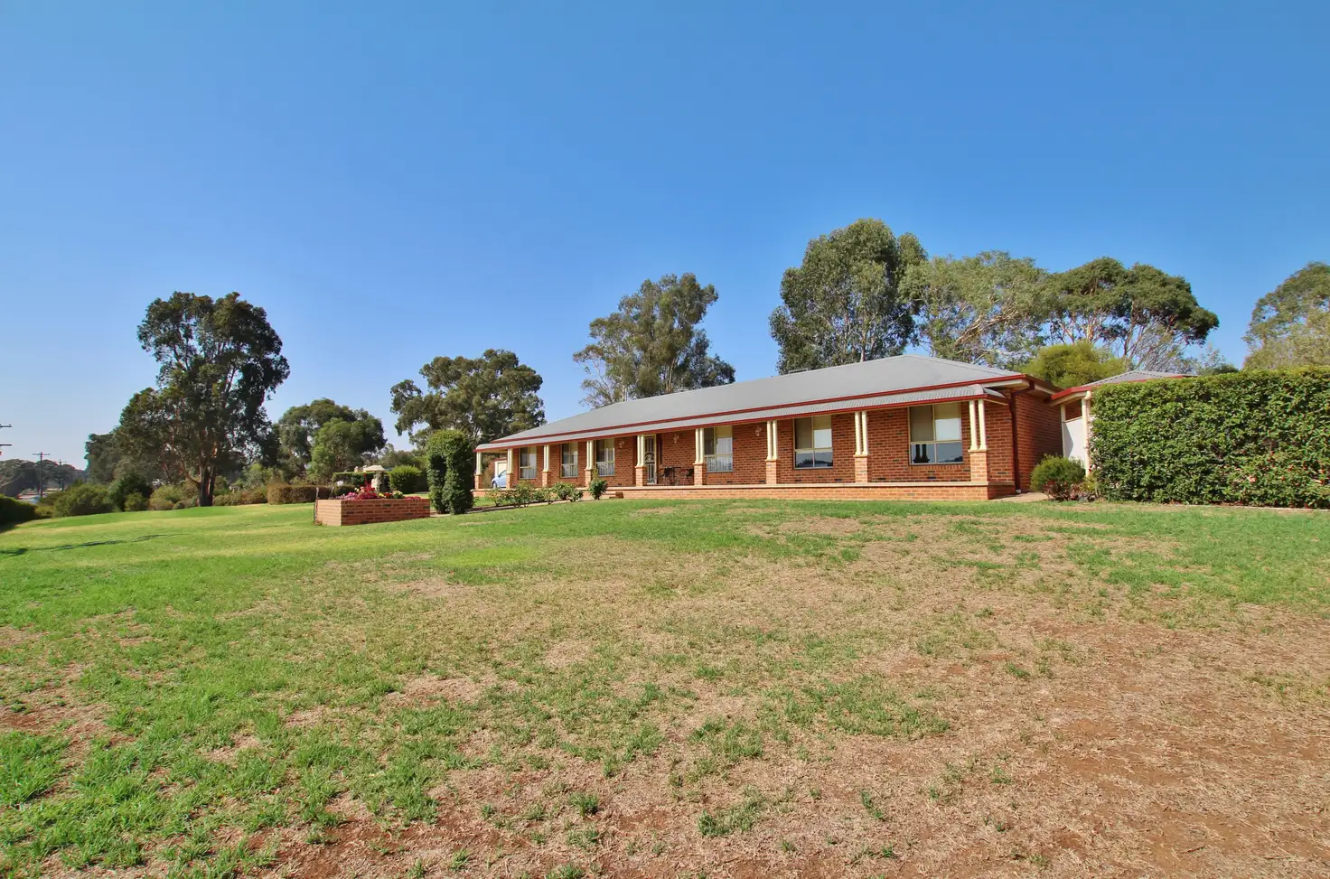 Main view of Homely house listing, 1395 Kingsvale Road, Young NSW 2594