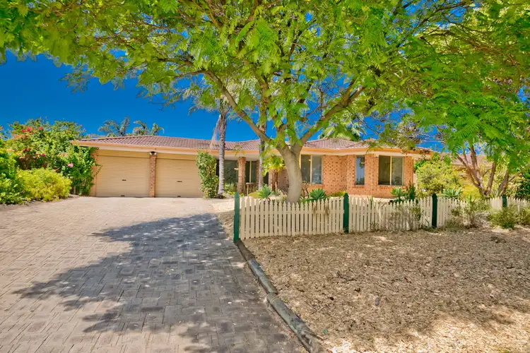 3 Thistle Court, Dianella WA 6059