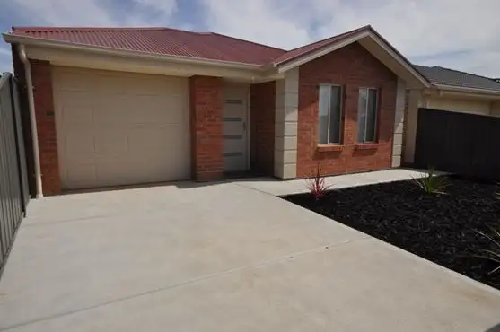 20 Serpentine Circuit