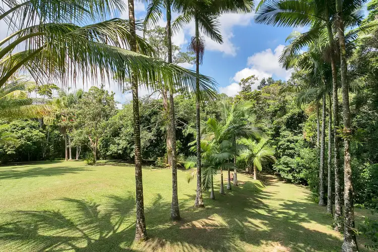Sixth view of Homely house listing, 31 Masons Road, Kuranda QLD 4881