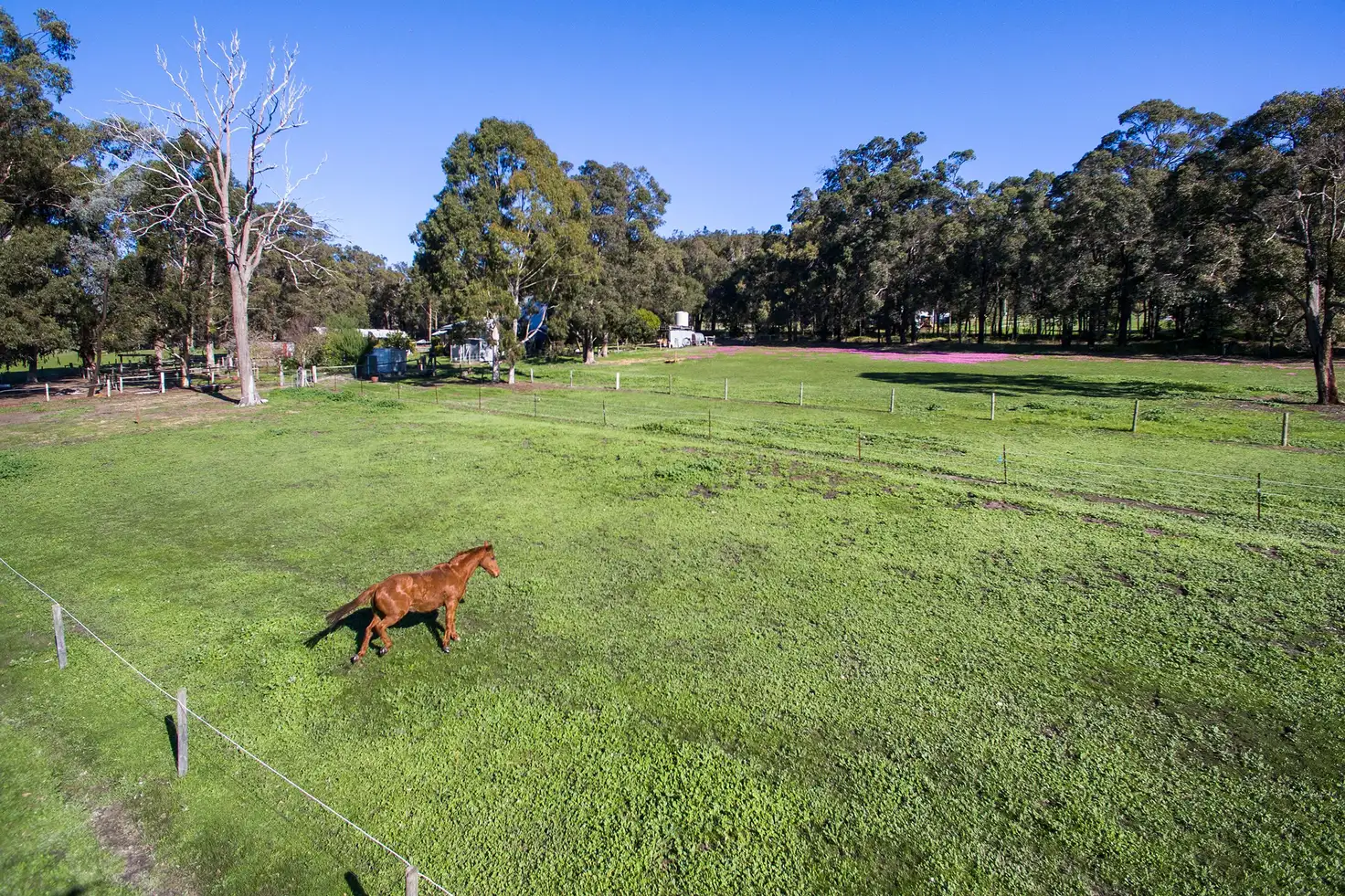 Main view of Homely rural property listing, 253 East Nannup Road, Nannup WA 6275