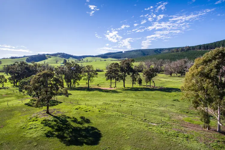 Second view of Homely rural property listing, 253 East Nannup Road, Nannup WA 6275