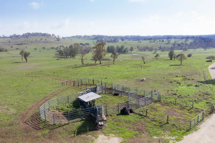Second view of Homely rural property listing, 5016 New England Highway, Llangothlin NSW 2365