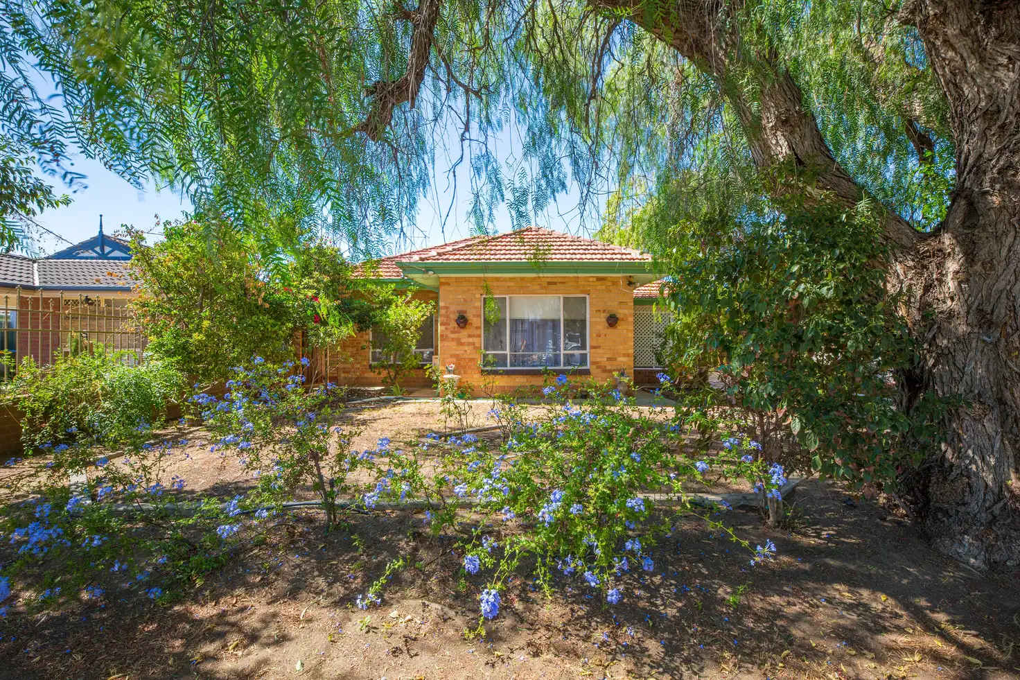 Main view of Homely house listing, 7 Tania Avenue, Windsor Gardens SA 5087