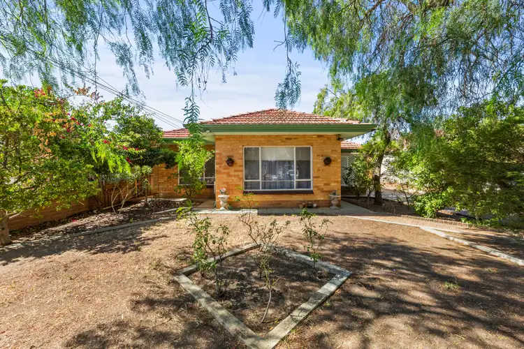 Second view of Homely house listing, 7 Tania Avenue, Windsor Gardens SA 5087