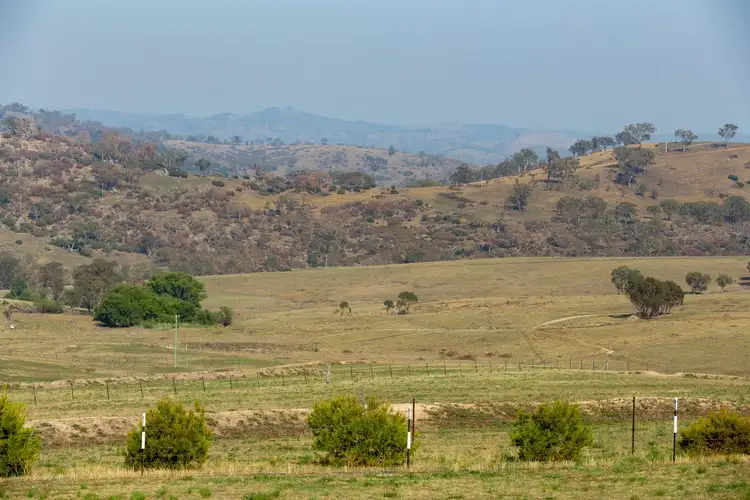 Fourth view of Homely rural property listing, 653 Freemantle Road, Mount Rankin NSW 2795