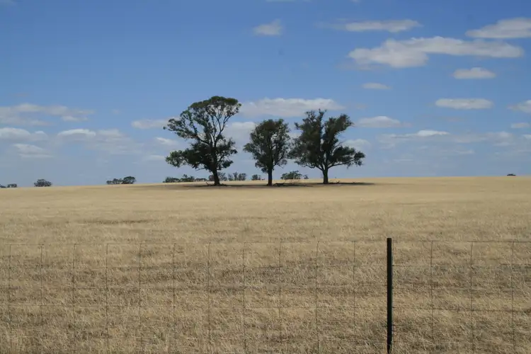 Second view of Homely rural property listing, CA28 Avonmore-Mayreef Road (Lot 1 and Lot 2), Kamarooka VIC 3570