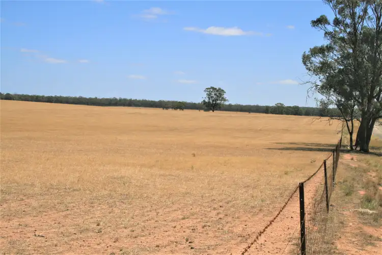 Fourth view of Homely rural property listing, CA28 Avonmore-Mayreef Road (Lot 1 and Lot 2), Kamarooka VIC 3570