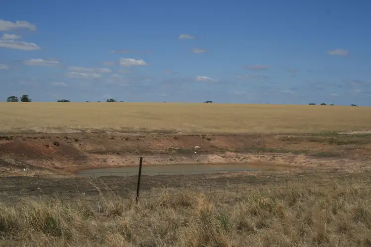 Fifth view of Homely rural property listing, CA28 Avonmore-Mayreef Road (Lot 1 and Lot 2), Kamarooka VIC 3570