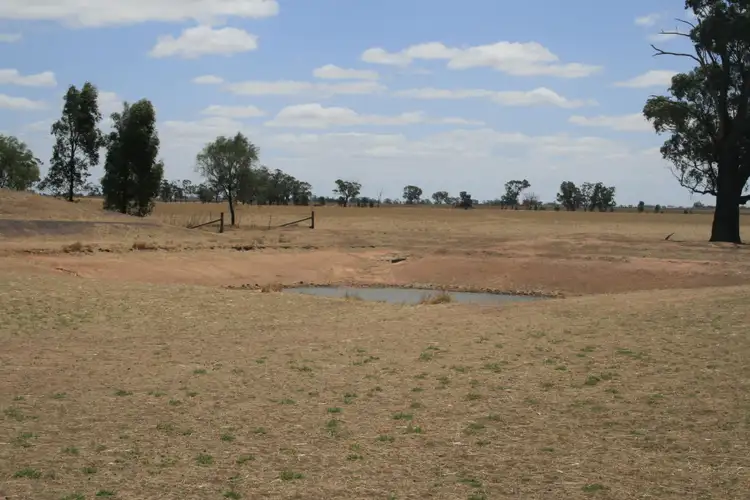 Sixth view of Homely rural property listing, CA28 Avonmore-Mayreef Road (Lot 1 and Lot 2), Kamarooka VIC 3570