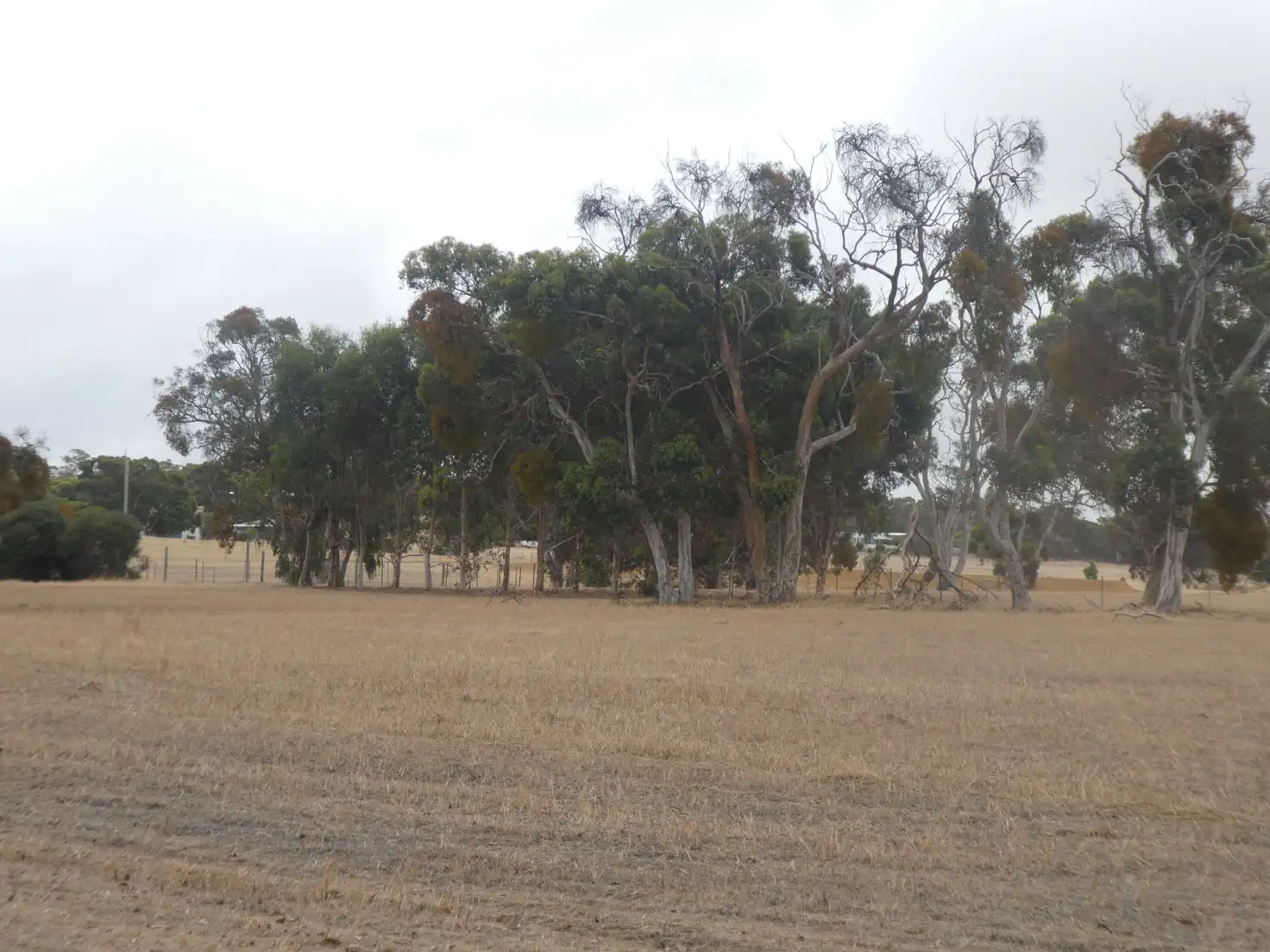 Main view of Homely land listing, 305 Moorilup Road, Kendenup WA 6323