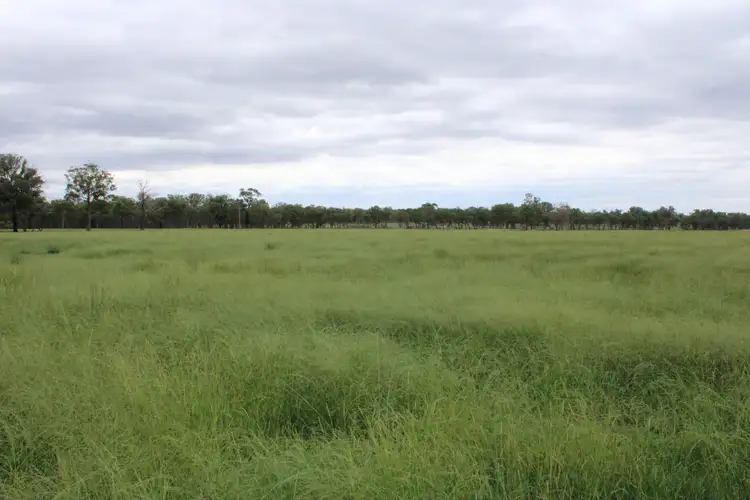 147 Grove Road, Inverell NSW 2360