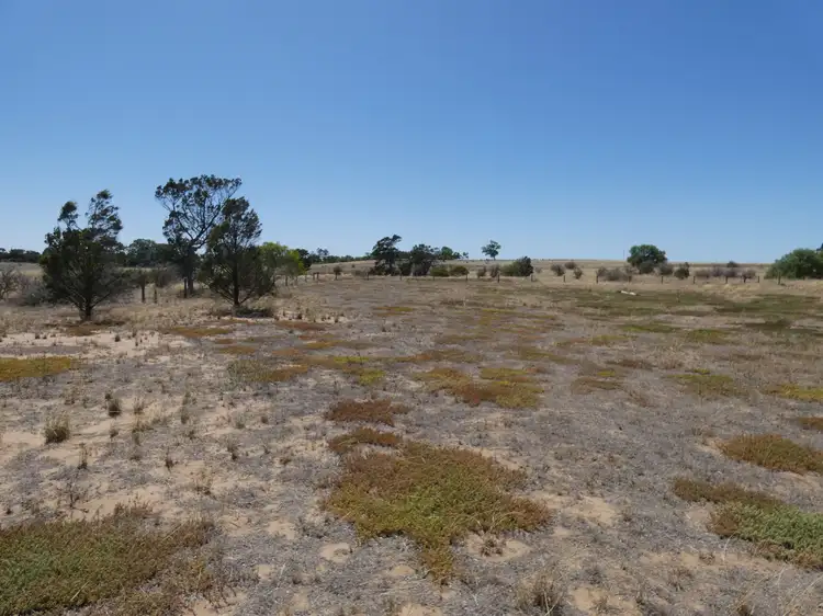 Lot 895 Trilby Road, Wellington East SA 5259