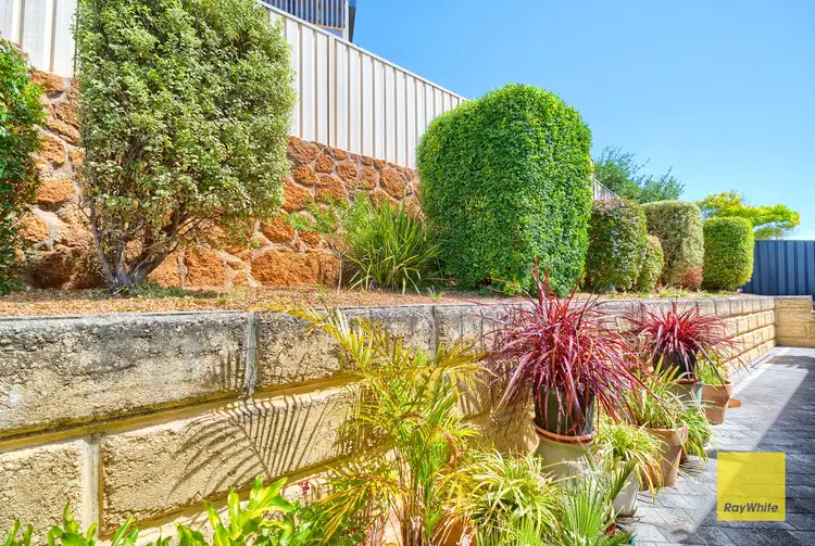 Third view of Homely house listing, 114 Chauncy Way, Spencer Park WA 6330