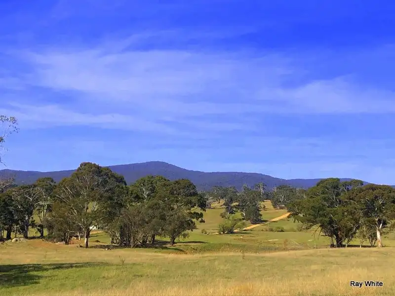 Main view of Homely rural property listing, 670 Monga Lane, Braidwood NSW 2622