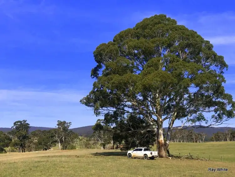 Second view of Homely rural property listing, 670 Monga Lane, Braidwood NSW 2622