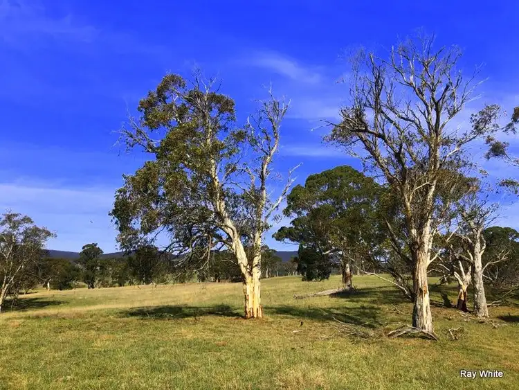 Fourth view of Homely rural property listing, 670 Monga Lane, Braidwood NSW 2622