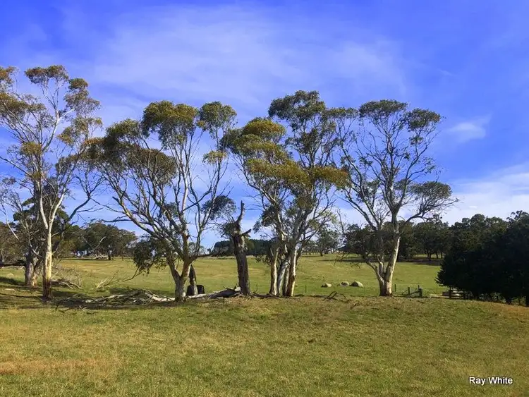Fifth view of Homely rural property listing, 670 Monga Lane, Braidwood NSW 2622