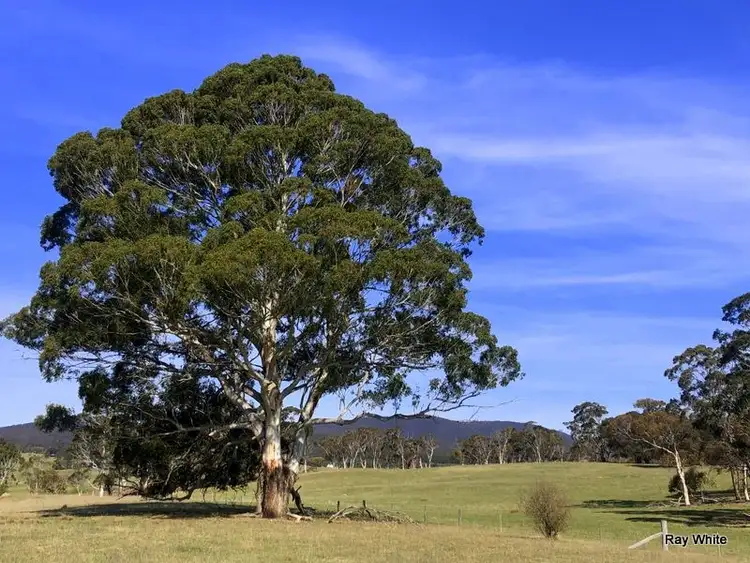 Sixth view of Homely rural property listing, 670 Monga Lane, Braidwood NSW 2622