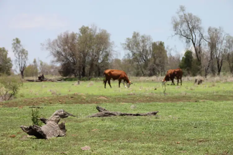 Sixth view of Homely rural property listing, 0 Oakey Pittsworth Road, Rossvale, Pittsworth QLD 4356