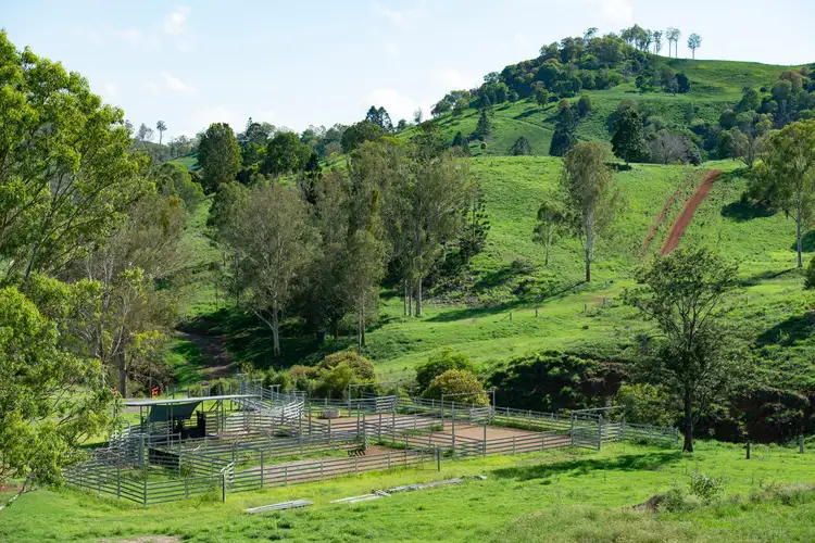 Fourth view of Homely rural property listing, 101 Neuendorf Road, Langshaw QLD 4570