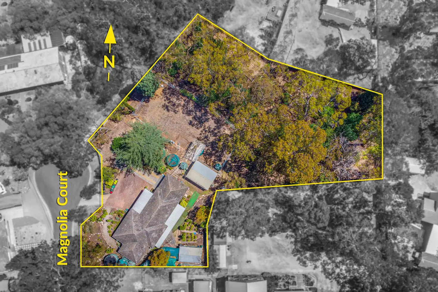 Main view of Homely house listing, 1 Magnolia Court, Banksia Park SA 5091