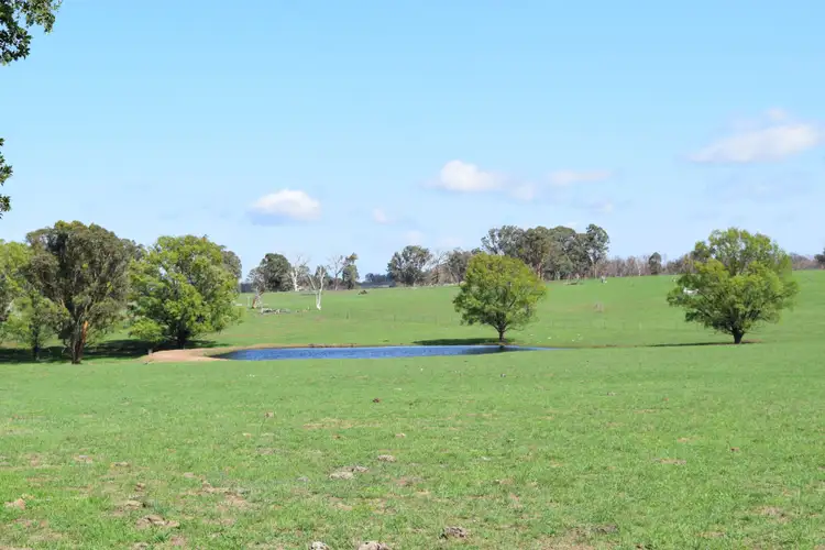 Fifth view of Homely rural property listing, 1071 Briarbrook Road, Guyra NSW 2365