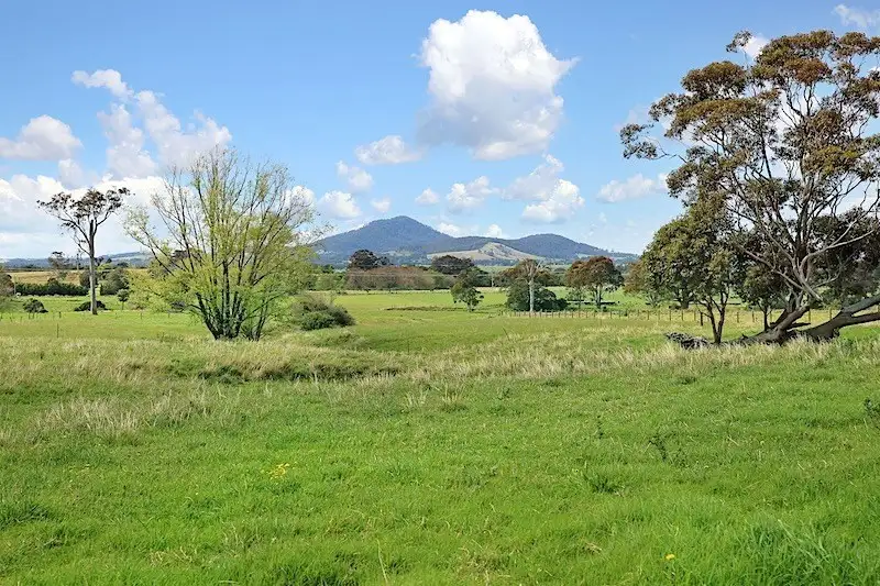 Main view of Homely rural property listing, 202 Bells Lane, Meroo Meadow NSW 2540