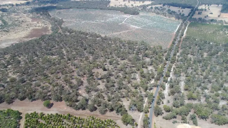 Fifth view of Homely rural property listing, Lot 105 & 104 Kojonup Frankland Road, Frankland River WA 6396