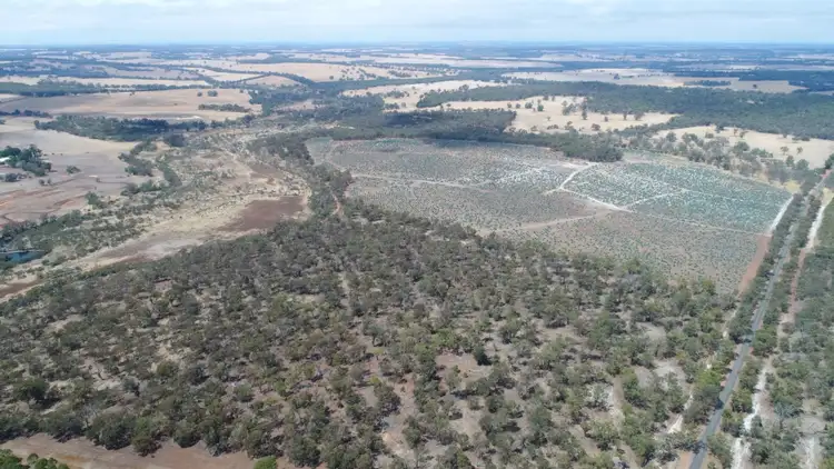 Seventh view of Homely rural property listing, Lot 105 & 104 Kojonup Frankland Road, Frankland River WA 6396