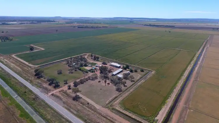 Farm 1078 Murrami Road, Murrami NSW 2705