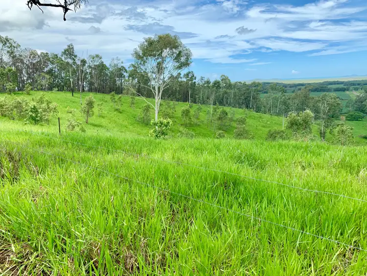 Sixth view of Homely rural property listing, 70 Muller Roads, Sarina QLD 4737