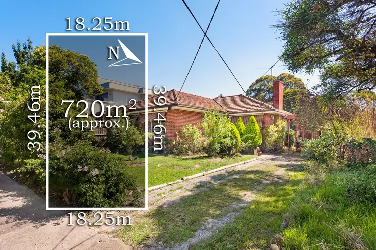 13 Olive Street, Hampton VIC 3188