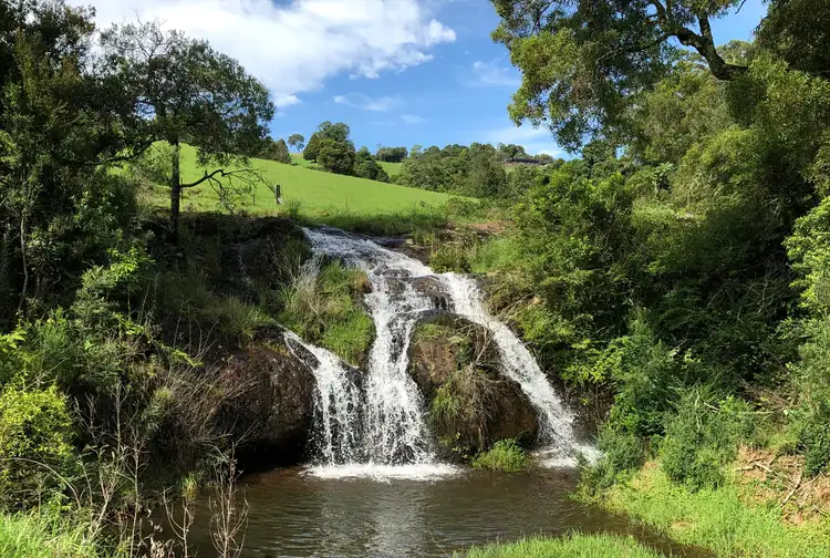 Second view of Homely rural property listing, 665 Whisky Creek Road, Dorrigo NSW 2453