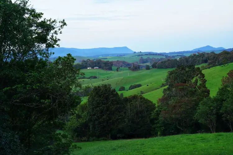 Fourth view of Homely rural property listing, 665 Whisky Creek Road, Dorrigo NSW 2453